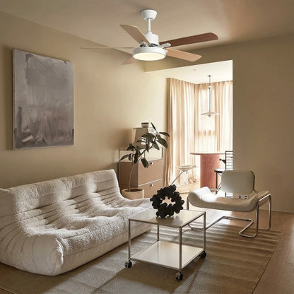 White or Bronze DC Motor Ceiling Fan