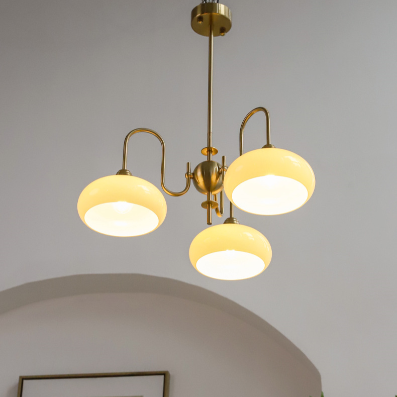 French Retro Gooseneck Globe Chandelier