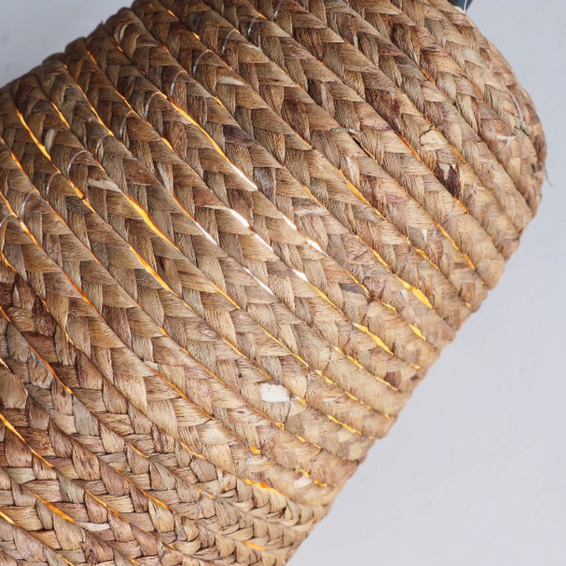 Seagrass Fringe Pendant Light