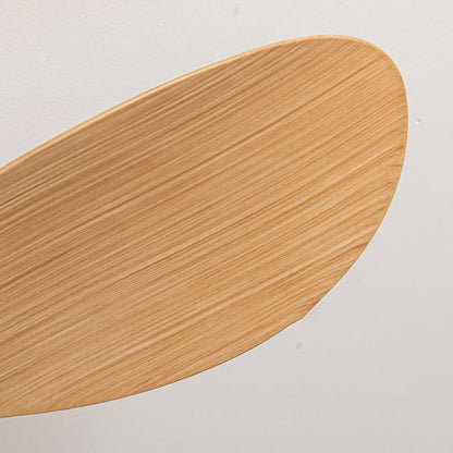 Fan Shape Metal Ceiling Fan Light