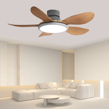 Fan Shape Metal Ceiling Fan Light