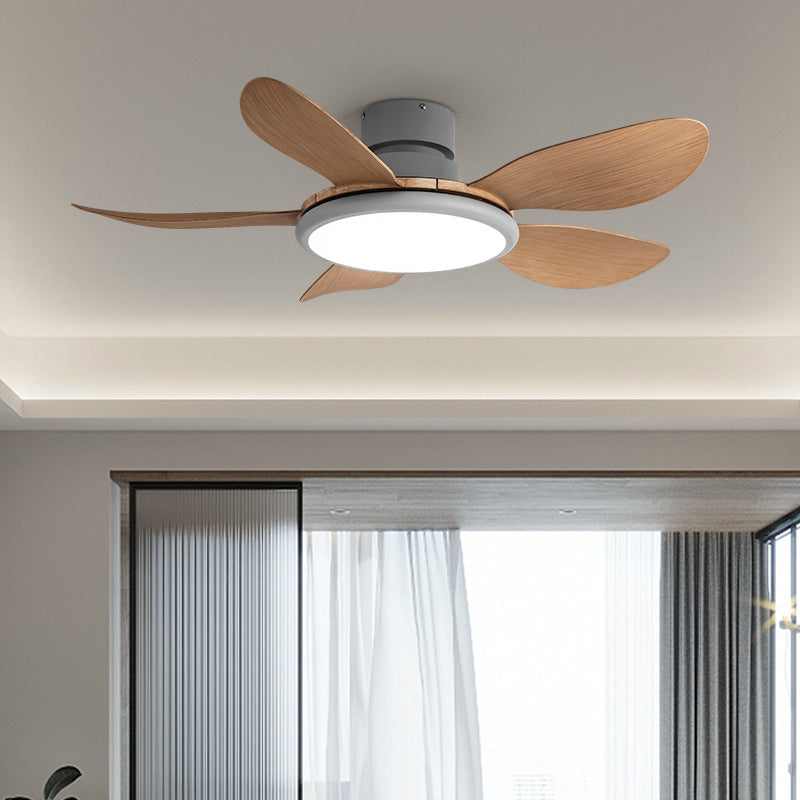 Fan Shape Metal Ceiling Fan Light