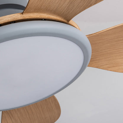 Fan Shape Metal Ceiling Fan Light