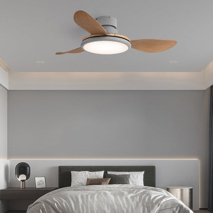 Fan Shape Metal Ceiling Fan Light