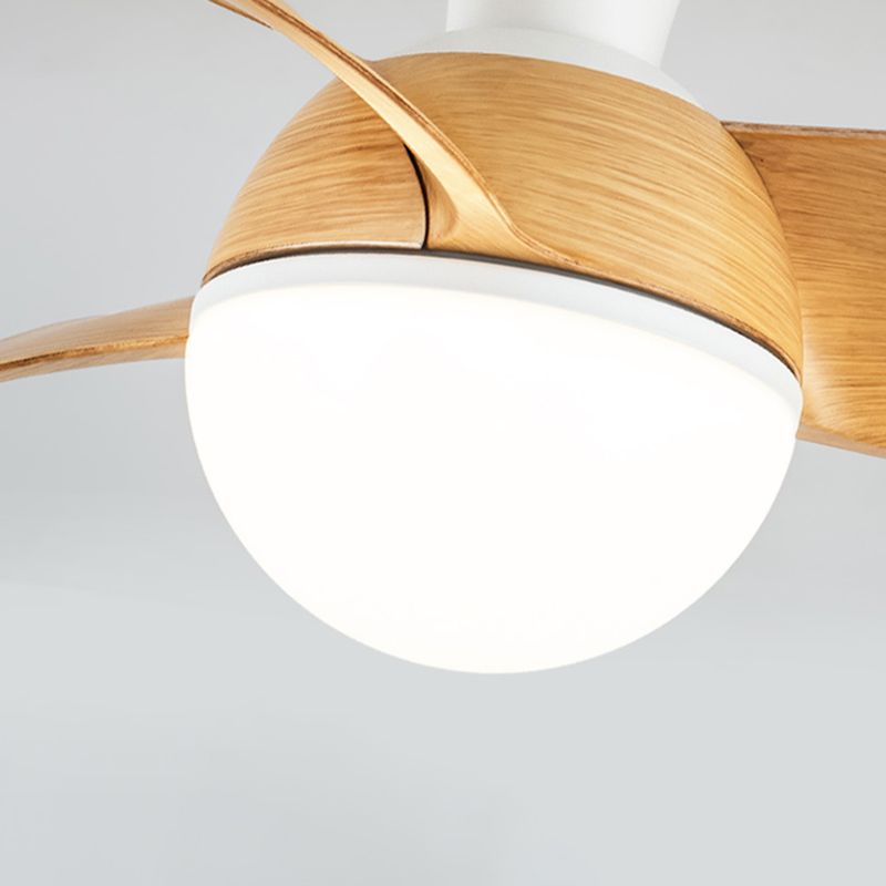 Iron and Acrylic Flush Mount Fan Light