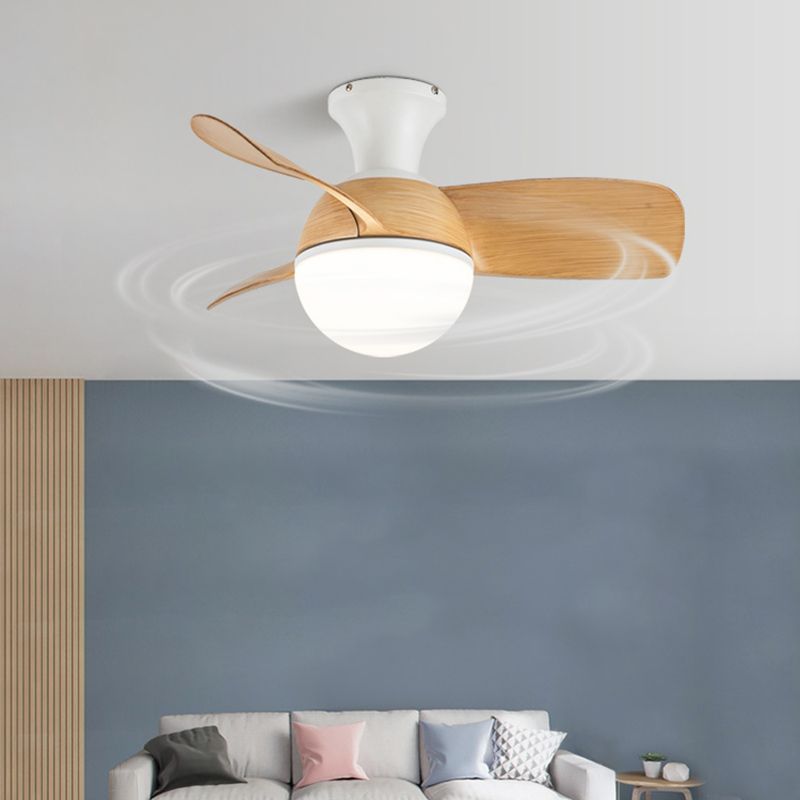 Iron and Acrylic Flush Mount Fan Light