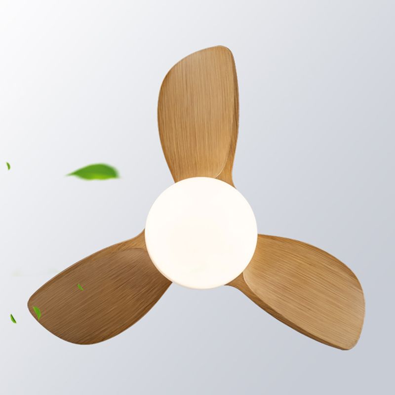 Iron and Acrylic Flush Mount Fan Light
