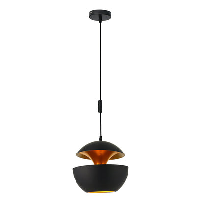 Apple Shaped Metal Pendant Light